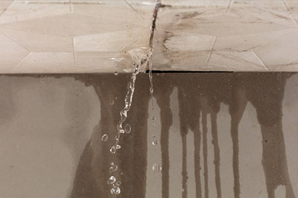 Professional Structural Drying technician working in Port Jefferson Station, NY